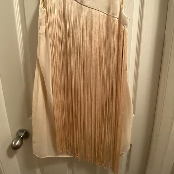 Rachel Rachel Roy Champagne Sheath Dress with Asymmetrical Fringe - Picture 4 of 4